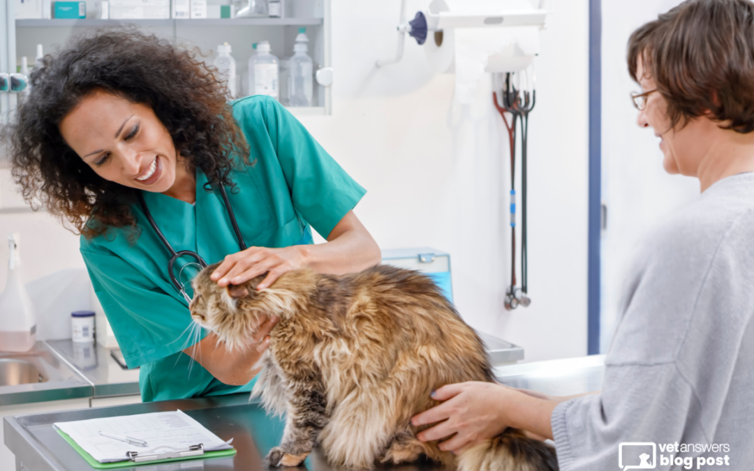 10 Strategies to Boost Veterinary Practice Revenue in 2026